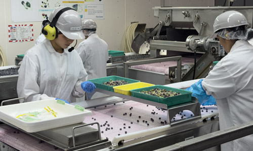 food-processing