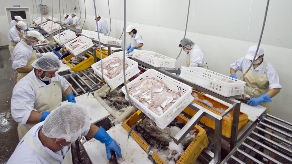 Crew wearing masks in a food processing plant.